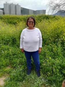 wptelewoobot-2020-09-17-011137